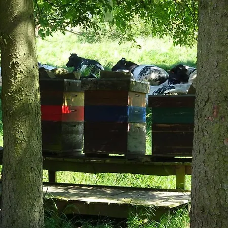 La Miellerie בית כפרי Huppaye