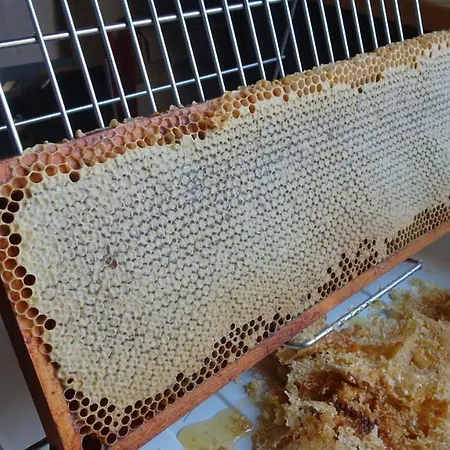 منزل ريفي La Miellerie Huppaye
