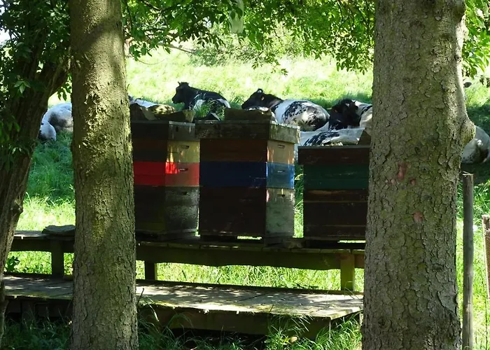 La Miellerie בית כפרי Huppaye